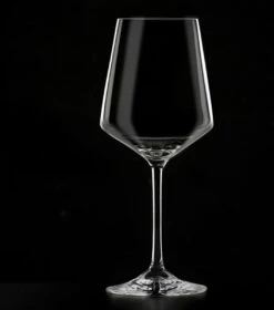 Masterpro Witte Wijnglazen 390ml - Onbreekbaar-Kristalhelder Glas - 2 Stuks -Huishoudelijk Serviesgoed 1059x1200