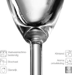 Leonardo Daily Champagneglas - 180 Ml - 6 Stuks -Huishoudelijk Serviesgoed 1144x1200 1