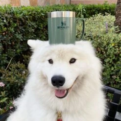 Stanley The Legendary Camp Mug 0,35L - Beker - Hammertone Green 18 Stanley The Legendary Camp Mug 0,35L - Beker - Hammertone Green -Huishoudelijk Serviesgoed 1200x1199 5