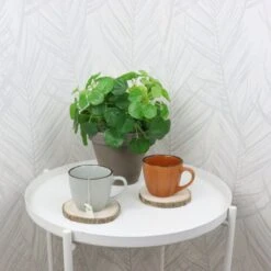 OTIX Koffiekopjes - Met Oor - Set Van 4 - Verschillende Kleuren - Aardewerk - 250 Ml -Huishoudelijk Serviesgoed 1200x1200 1286