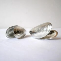 Het Zeeuws Mosselbestek -Huishoudelijk Serviesgoed 1200x1200 174