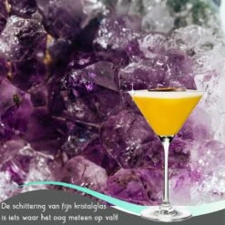 TEN Kristallen Espresso Martini Glazen 6 Stuks - Espresso Glazen 240ml + 40 Cocktail Recepten -Huishoudelijk Serviesgoed 1200x1200 565