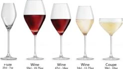 Libbey Champagneglas Iduna – 200 Ml / 20 Cl - Set Van 6 - Elegant Design - Hoge Kwaliteit - Vaatwasserbestendig -Huishoudelijk Serviesgoed 1200x671