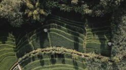 Sola Bestekset Bali - Modern - 9 Persoons - 90 Delig - Zilverwit Edelstaal 18/10 - RVS - Zilver 8 Sola Bestekset Bali - Modern - 9 Persoons - 90 Delig - Zilverwit Edelstaal 18/10 - RVS - Zilver -Huishoudelijk Serviesgoed 1200x675