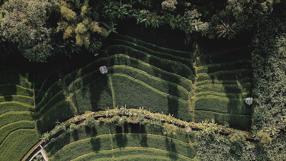 Sola Bestekset Bali - Modern - 9 Persoons - 90 Delig - Zilverwit Edelstaal 18/10 - RVS - Zilver 4 Sola Bestekset Bali - Modern - 9 Persoons - 90 Delig - Zilverwit Edelstaal 18/10 - RVS - Zilver - Afbeelding 4