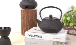 Bredemeijer - Theepot Jang 0,8L Gietijzer Zwart -Huishoudelijk Serviesgoed 1200x719 4