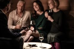 Schott Zwiesel Pure Cabernet Wijnglas - 0,54 L - 6 Stuks -Huishoudelijk Serviesgoed 1200x800 48