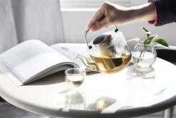 Viva Scandinavia Bjorn Theepot - Glas - Met Filter - 1,2 L - Transparant 18 Viva Scandinavia Bjorn Theepot - Glas - Met Filter - 1,2 L - Transparant -Huishoudelijk Serviesgoed 1200x807 1