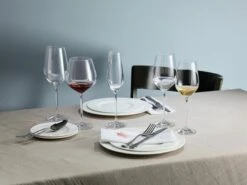 Schott Zwiesel Fortissimo Bourgogne Wijnglazen - 0.727 L - 6 Stuks -Huishoudelijk Serviesgoed 1200x899 12