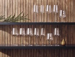 Iittala Essence - Wijnglazen Rode Wijn – Vaatwasserbestendig - Transparant - 45 Cl – Set Van 2 Glazen -Huishoudelijk Serviesgoed 1200x920 3
