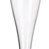 Champagne Glazen Stevig 100/135 Ml (20 Stuks) Herbruikbaar!!