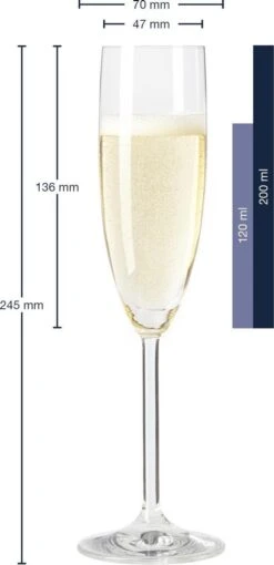 Leonardo Daily Champagneglas - 180 Ml - 6 Stuks -Huishoudelijk Serviesgoed 581x1200
