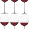Schott Zwiesel Diva Bourgogne Wijnglas - 0,46 L - 6 Stuks