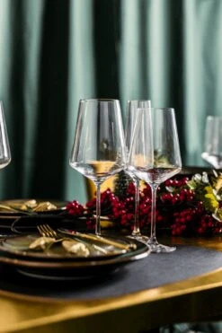 Leonardo Wijnglazenset (Rode Wijnglazen + Witte Wijnglazen) Puccini 12-Delig -Huishoudelijk Serviesgoed 800x1200 10