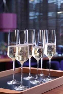 Leonardo Puccini Champagneglas - 280 Ml - 6 Stuks 14 Leonardo Puccini Champagneglas - 280 Ml - 6 Stuks -Huishoudelijk Serviesgoed 800x1200 30