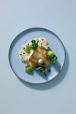 Palmer Serviesset Antigo Porselein 6-persoons 24-delig Lichtblauw -Huishoudelijk Serviesgoed 800x1200 96