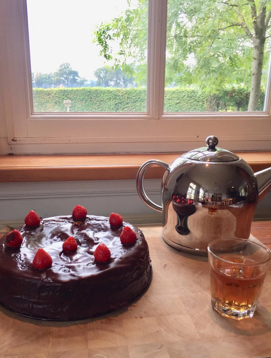 Bredemeijer - Theepot Minuet Santhee 0,5L Glanzend Dubbelwandig 8 Bredemeijer - Theepot Minuet Santhee 0,5L Glanzend Dubbelwandig - Afbeelding 8