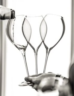 Lehmann Jamesse Champagneglazen 28.5cl -Huishoudelijk Serviesgoed 925x1200 2