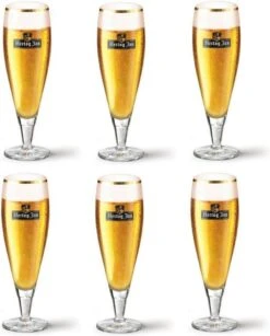 Hertog Jan Bierglazen Op Voet 250 Ml - 6 Stuks